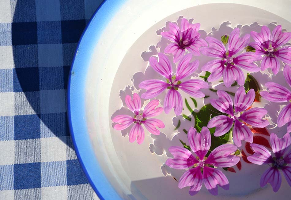 Celebrating the first of May Greek style