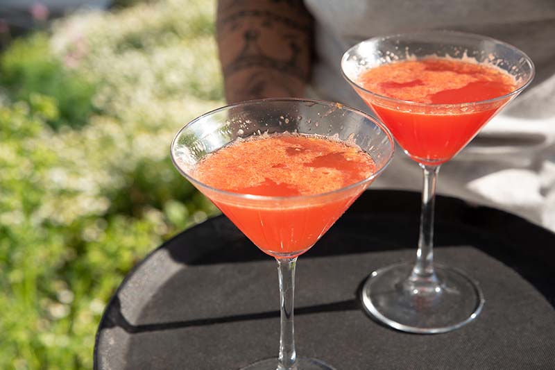Red Orange Blossom Cocktail - Katerina's Kouzina